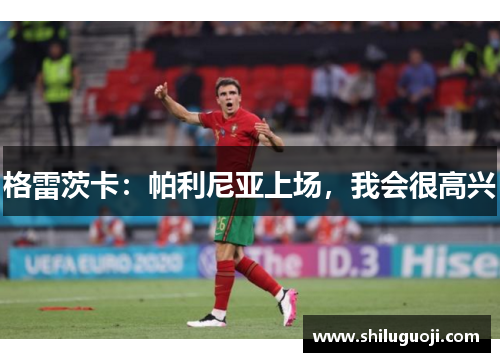 格雷茨卡：帕利尼亚上场，我会很高兴